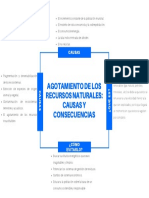 Agotamiento de Los Recursos Naturales Causas y Consecuencias