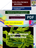 Mycobacterium Tuberculosis PRESENTACION