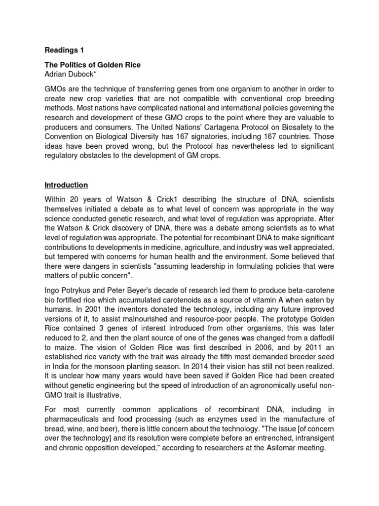 Politics of Golden Rice: A Case Study | PDF | Genetically Modified ...
