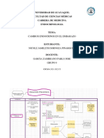 Cambios Endocrinos en El Embarazo