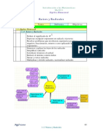 Raíces y Radicales