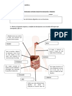 Guia de Actividades Biología 1°medio Biologia