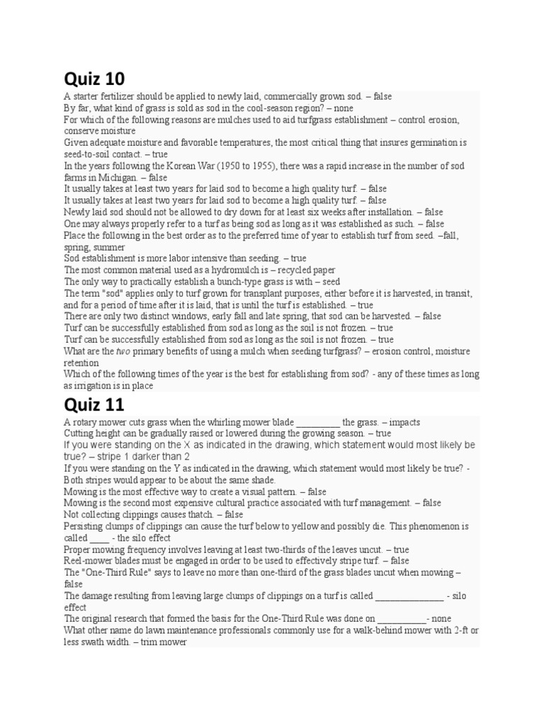 Css 202 Quiz PDF