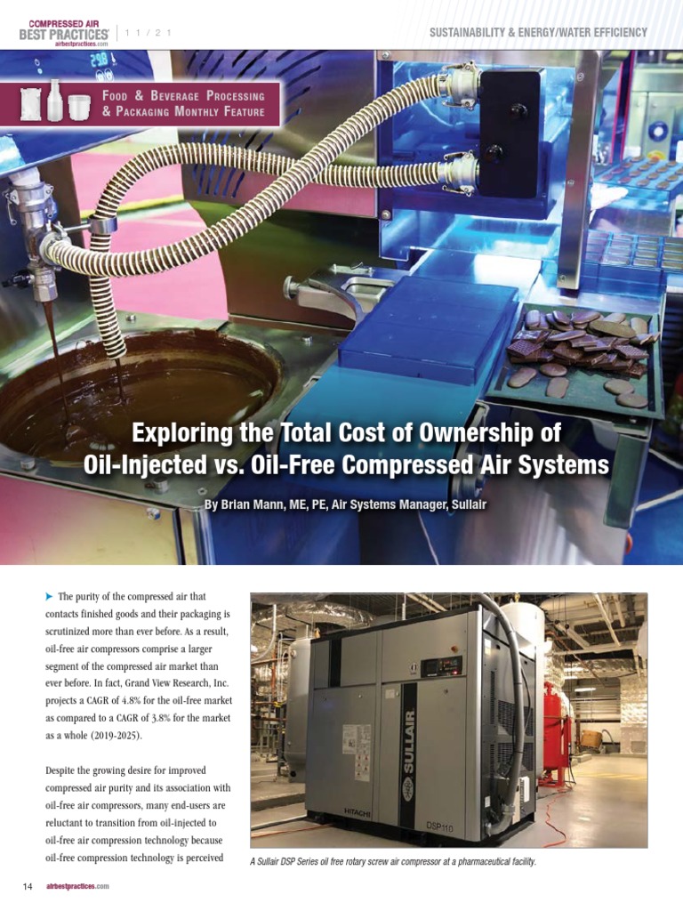 Oil Vs Oil Free Compressors PDF Lubricant Filtration