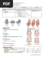 NORMOGRAMA DE BUTANI HMVPM Hojas | PDF
