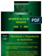 BIOSINTESIS_AC.NUCLEICOS