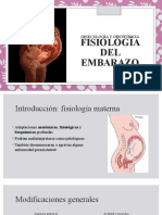 Fisiología Del Embarazo Ginecología