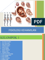 Fisiologi Kehamilan Trimester