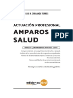Indice-Actuacion-Profesional-Amparos-De-Salud 587