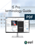 Arcgis Pro Terminology Guide