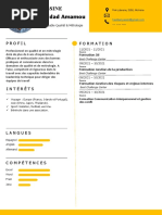 85 Modele Cv Exemplaire