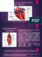 Болести На Циркуларниот Систем