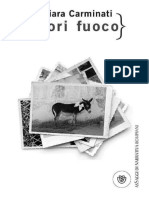 Fuori Fuoco PDF