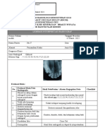 Oclusal 3