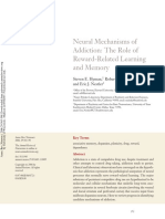 Neural Mechanisms of Addiction