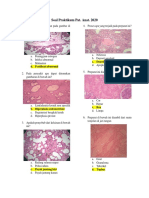 Soal Praktikum Patologi Anatomi 2020