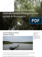 Mangrove Forest Deforestation, Hydrodynamics of Mangrove-Root Models & Biomimicry