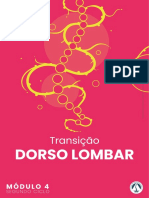Apostilas de Transição Dorsolombar (Português)