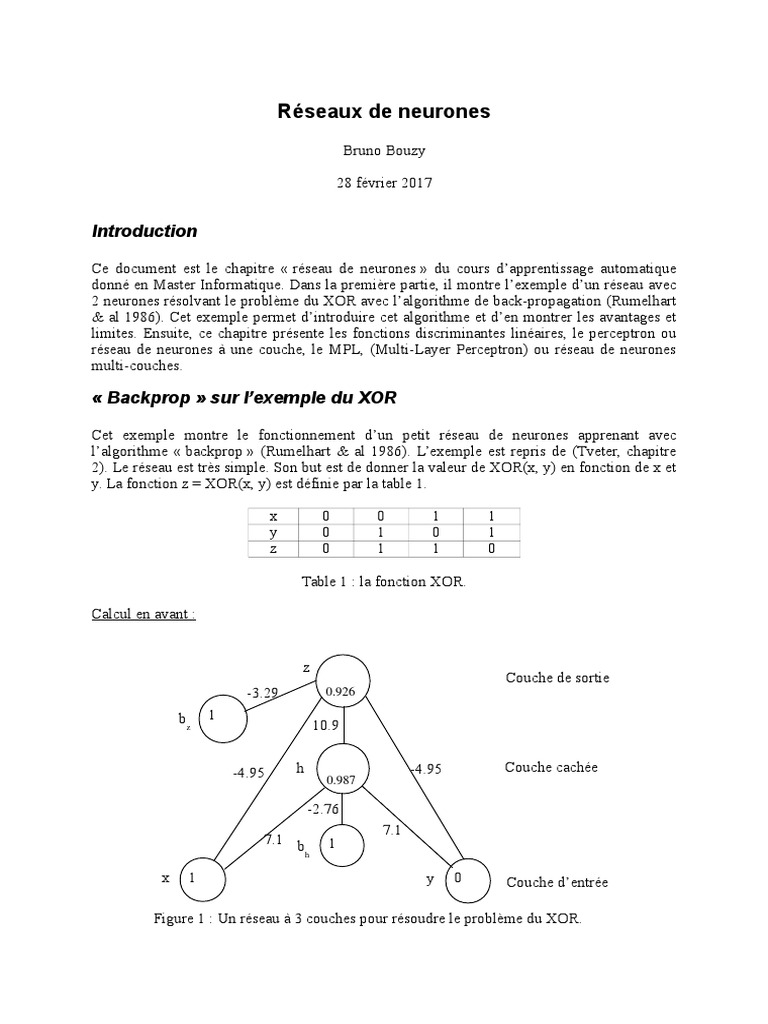 Reseaux de Neurones 1 | PDF | Réseau de neurones artificiels | Cybernétique