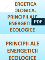 Energetica Ecologica. Principii Ale Energeticii Ecologice