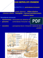 Patologia Nervilor Cranieni