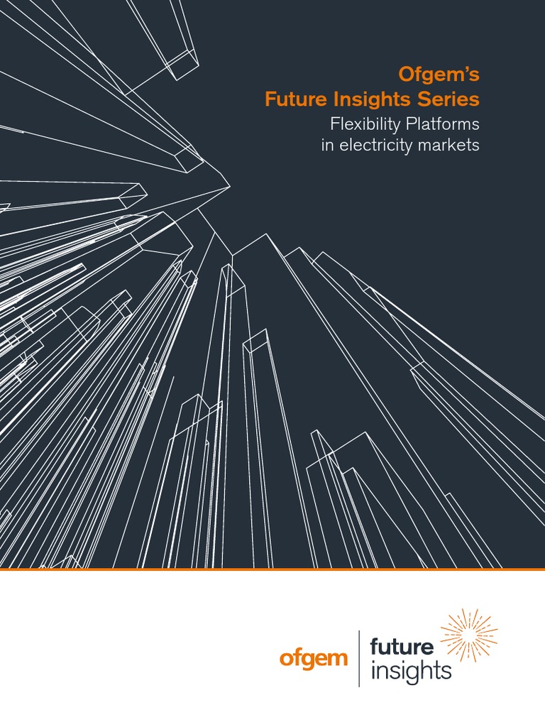 Ofgem Fi Flexibility Platforms in Electricity Markets | PDF | Market ...