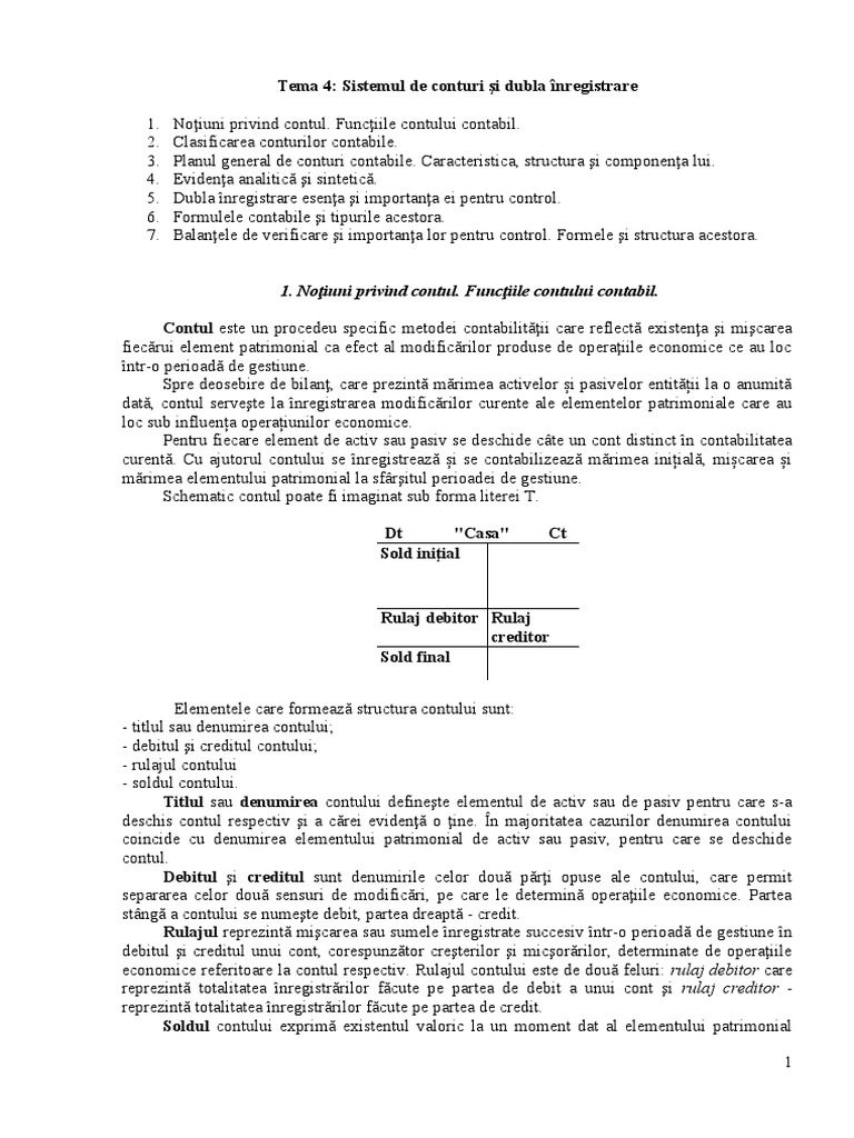 Sistem de Conturi Contabile | PDF