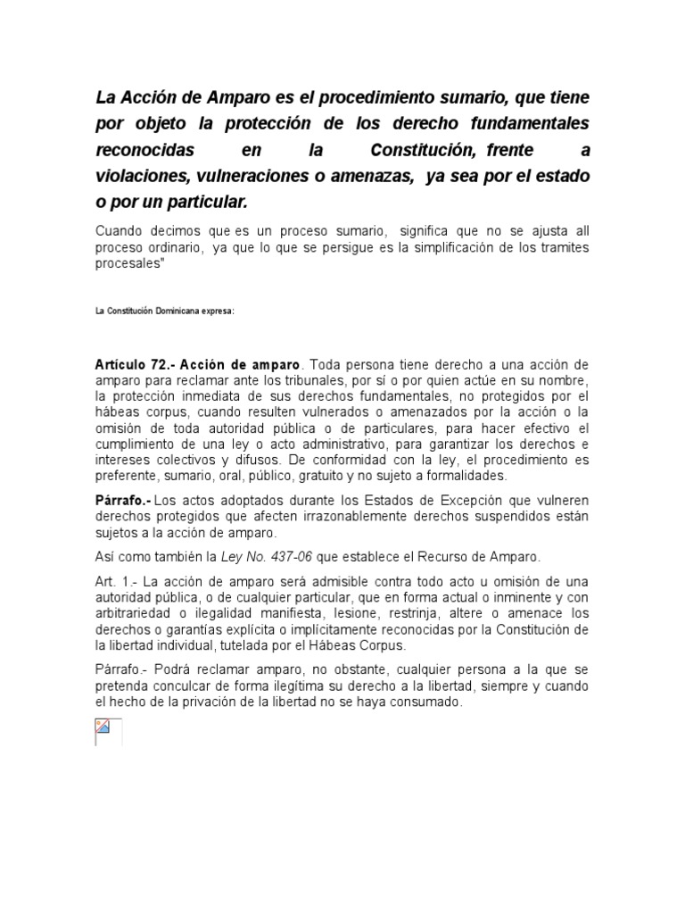 Definición de Acción de Amparo | PDF | Derecho Constitucional | Habeas ...