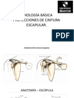 Radiografías básicas de hombro: proyecciones de la cintura escapular