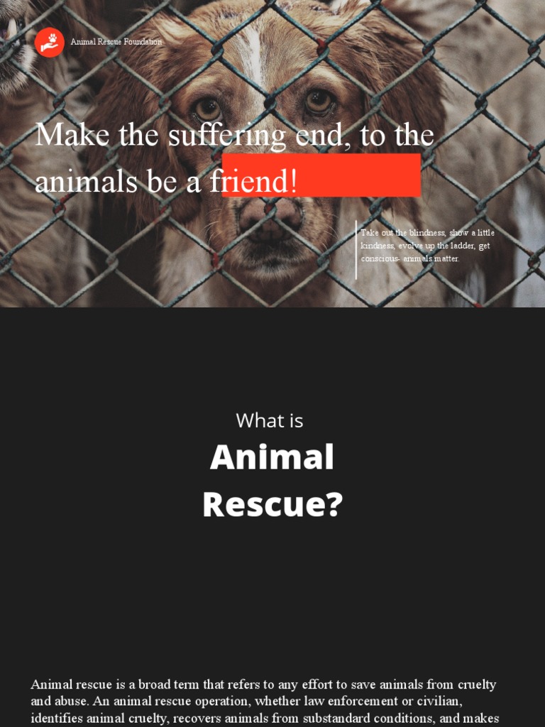 Animal Rescue Efforts in the Philippines | PDF | People For The Ethical ...