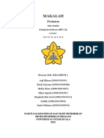 Protozoa Makalah