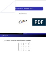 Ejercicios Matrices y Determinantes