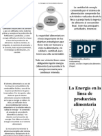 Triptico La Energìa y La Alimentacion