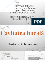 BIO VI - Cavitatea bucală