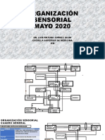 Organización Sensorial General Mayo 2020
