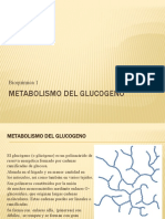 Metabolismo Del Glucogeno