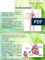  Sistema Circulatorio