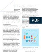 Ce Este Fotobiomodularea - Procesul de Fotobiomodulare. - Vielight Inc