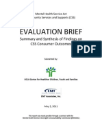 Evaluation Brief: Summary and Synthesis of Findings On CSS Consumer Outcomes
