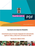 Capacitación Lineamiento DN Aguda-2017