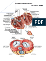Configuração Cardíaca Interna