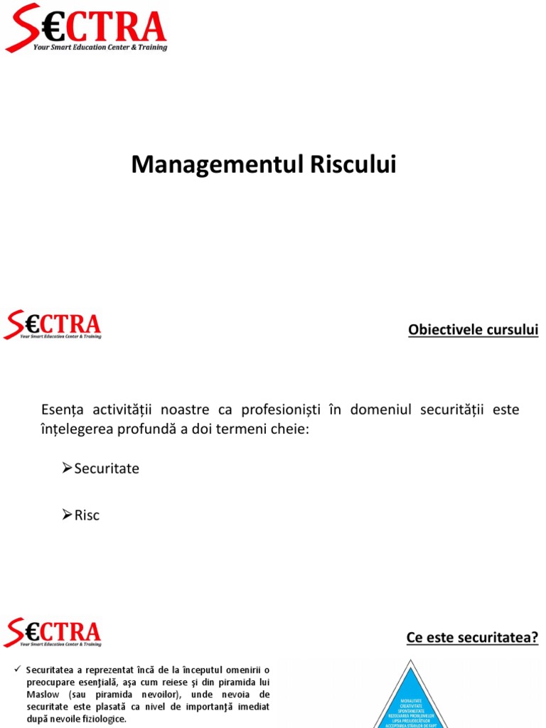 Managementul Riscului 2021 PDF | PDF