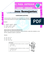 Terminos Semejantes Con Coeficiente Natural para Quinto de Primaria