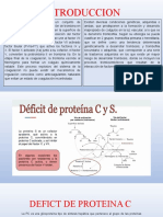 Proteina C y S