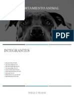 Comportamiento Animal.1