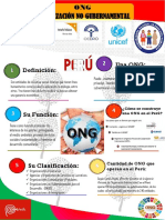 Infografía de La Ong en El Perú - Lorena Romero A. de Tang
