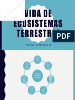 Vida de Ecosistemas Terrestres