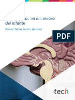 Neuropsicología Profesional I Los cambios en el cerebro del infante 