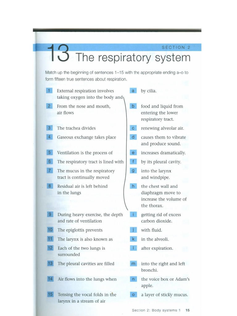 CHAPTER 2016 20RESPIRATORY 20SYSTEM 20STUDY 20GUIDE 20ANSWERS PDF visual data 3