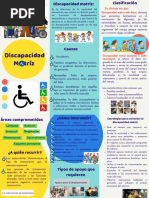 Tipos de Discapacidad según la OMS | PDF | Invalidez | Discapacidad ...